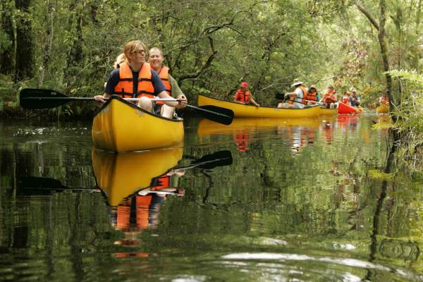 Descente en canoë dans les Landes